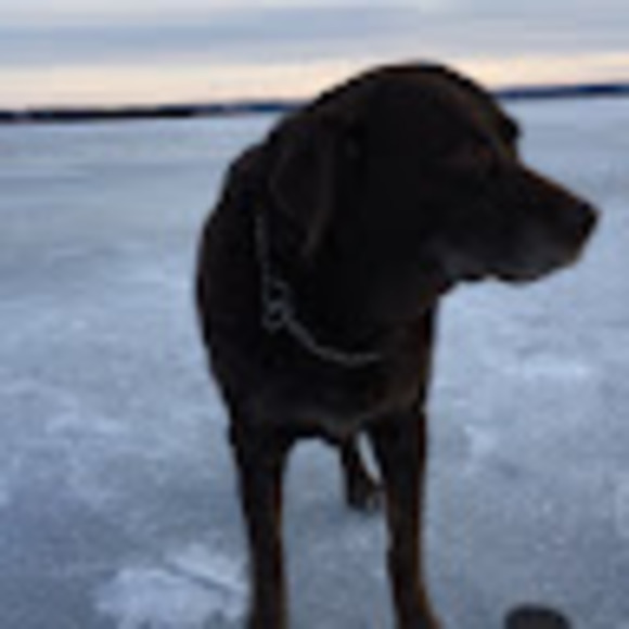 Meet your Posher, Paige - Picture 1 of 1